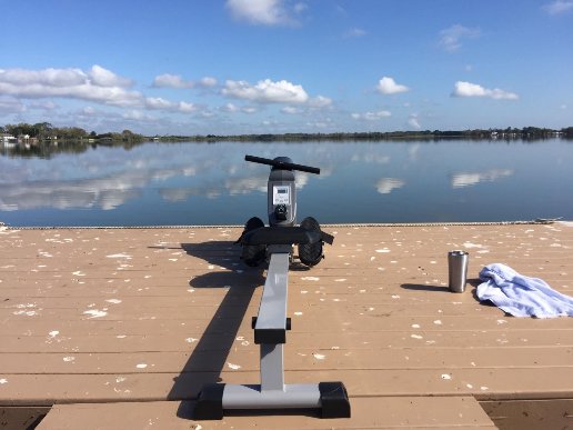 sunny rowing machine picture in an open space