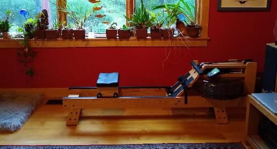 Water rowing machine picture from a home gym set up